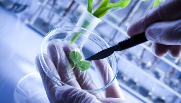 Biotech