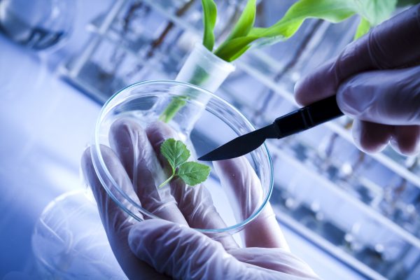 Biotech