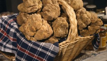 tartufi-cestino-2